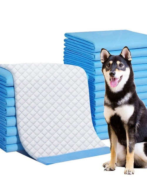 Load image into Gallery viewer, 150 Count Small ( S 17" X 24") Super Absorbent Dog and Puppy Training Pads, Pet Diaper Pee Pads for Small-Sized Dogs like Bulldog, Chow Chow, Border, Collie, Husky and so On
